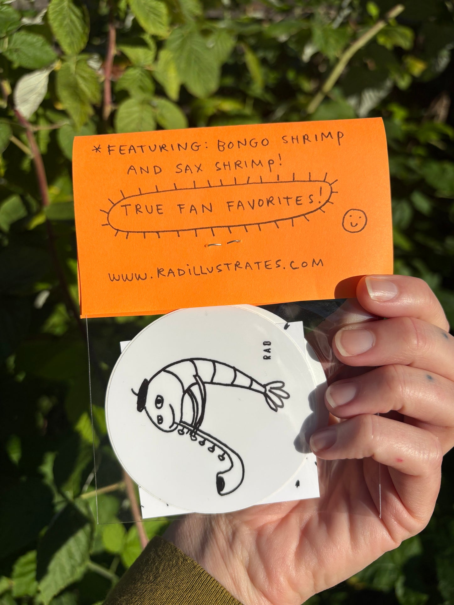 Jazzy Shrimp Sticker Pack!