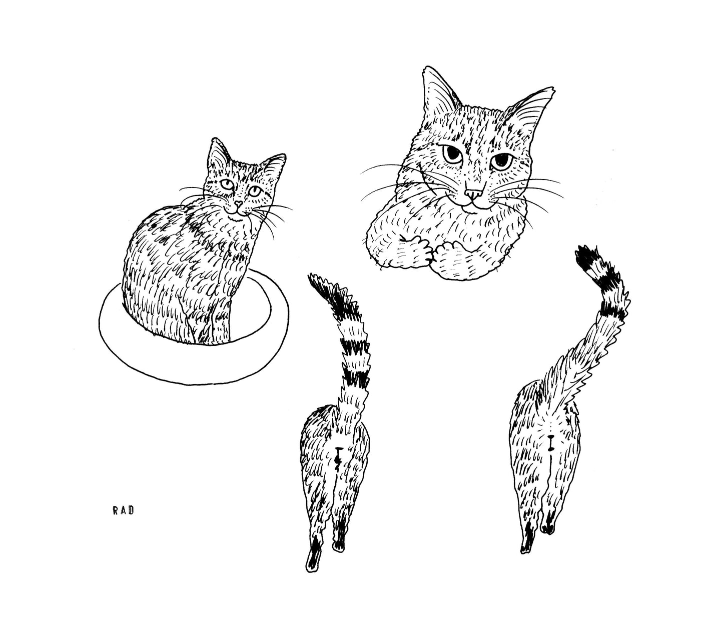 Custom Faces + Booties Portrait (People and/or Pets)