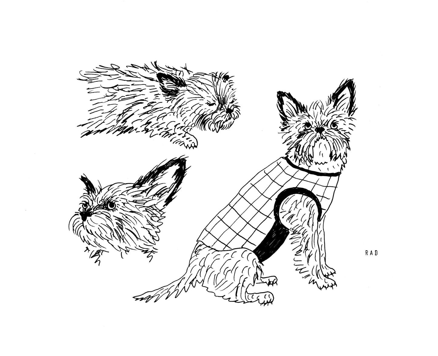 Custom Pet Portrait