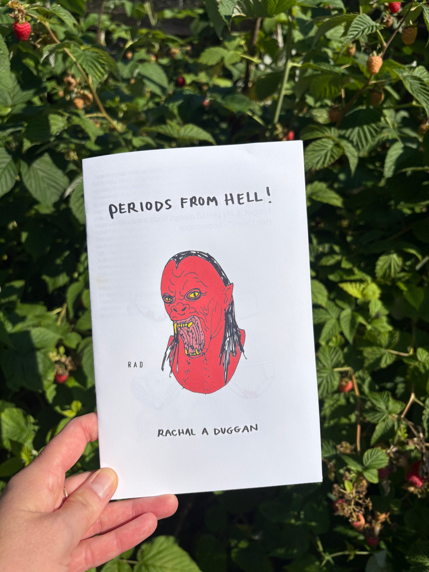 Periods From Hell! Zine