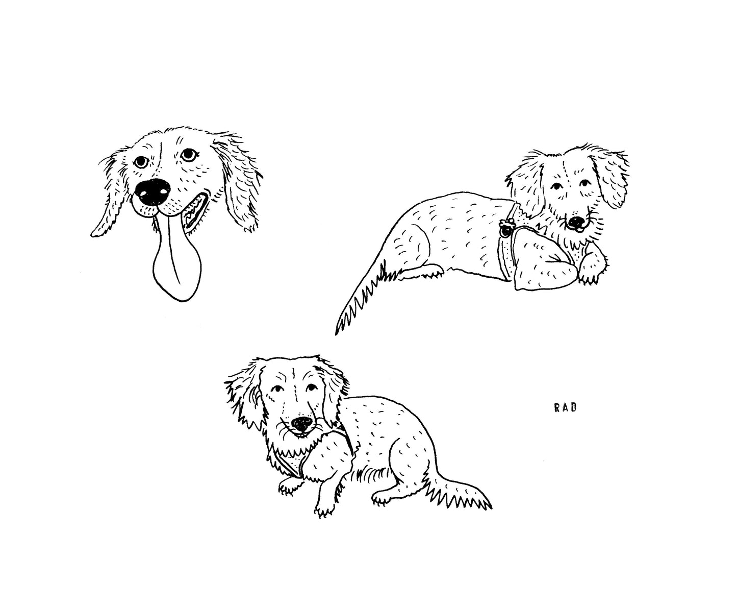 Custom Pet Portrait