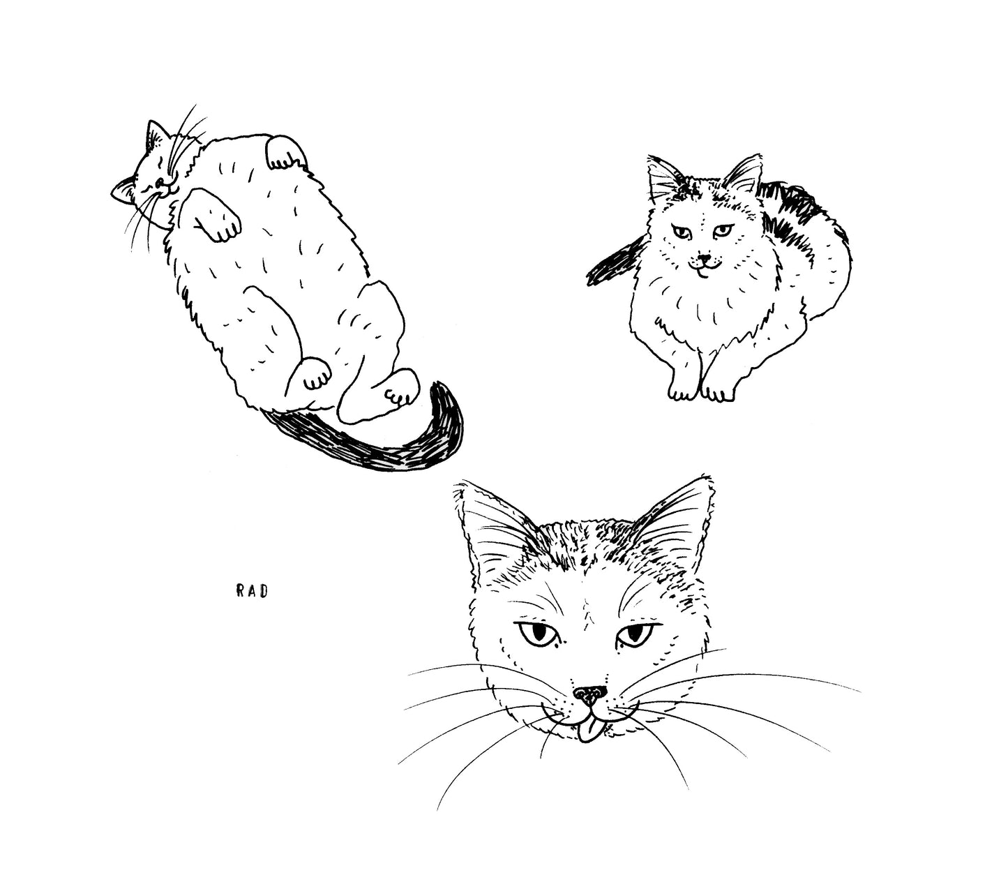 Custom Pet Portrait