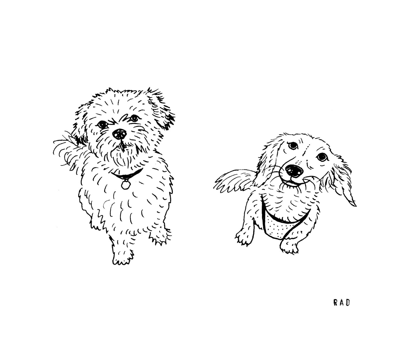 Custom Pet Portrait
