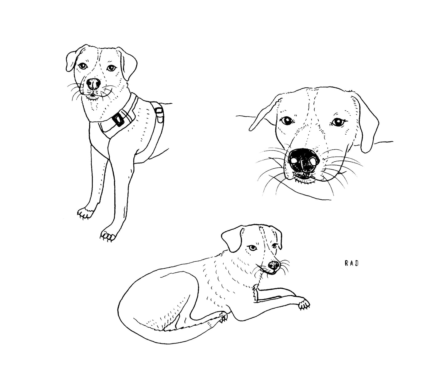 Custom Pet Portrait