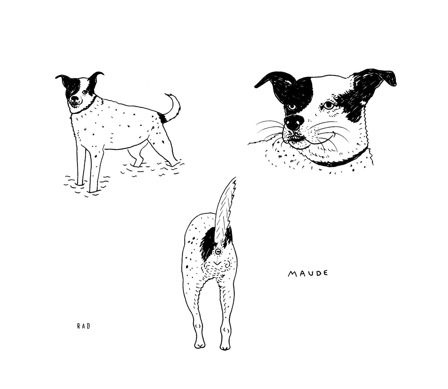 Custom Pet Portrait