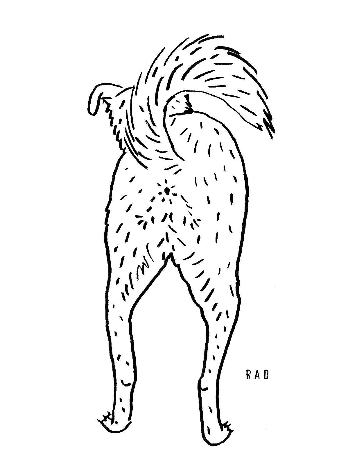 One Custom Booty Portrait (Person or Pet)