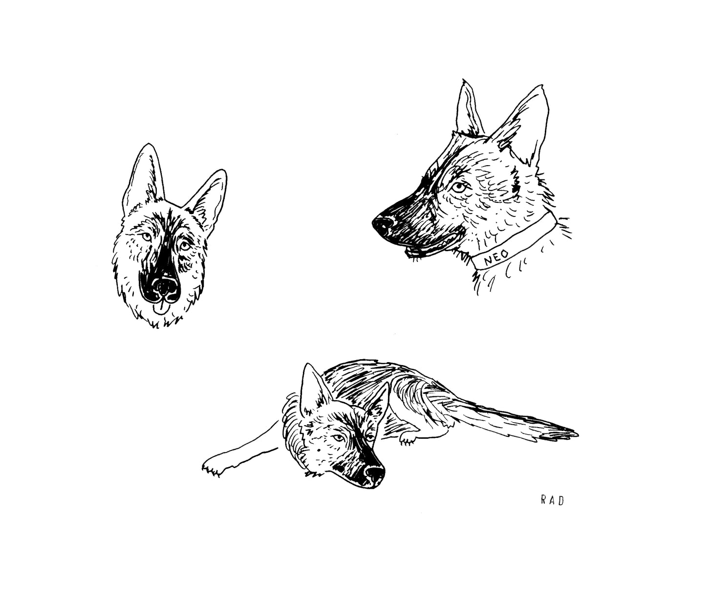 Custom Pet Portrait