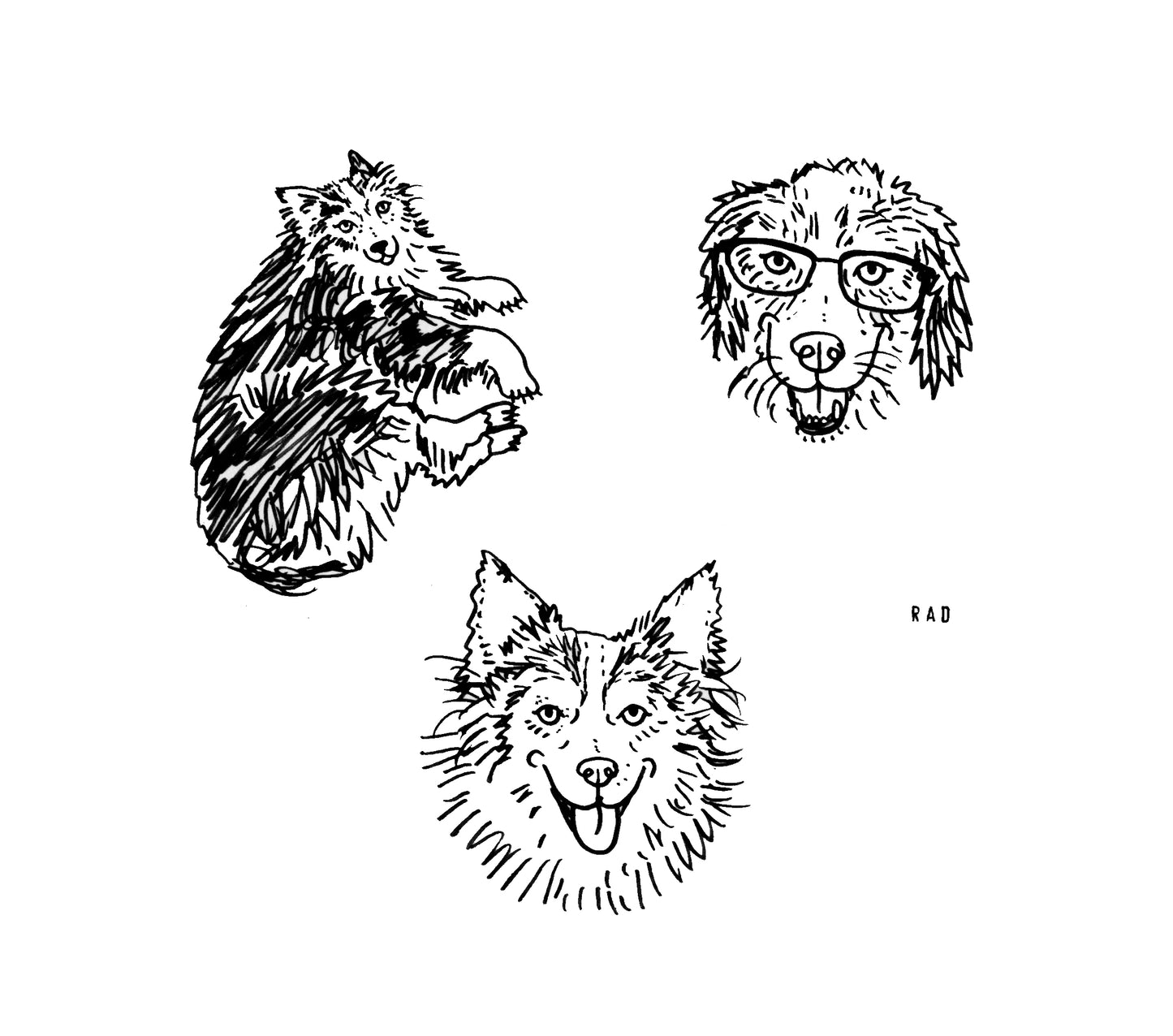 Custom Pet Portrait