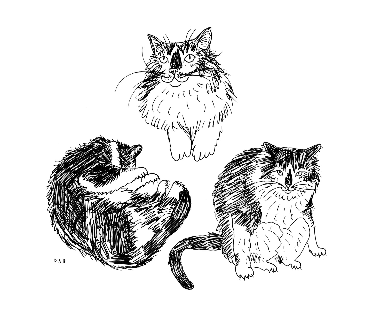 Custom Pet Portrait