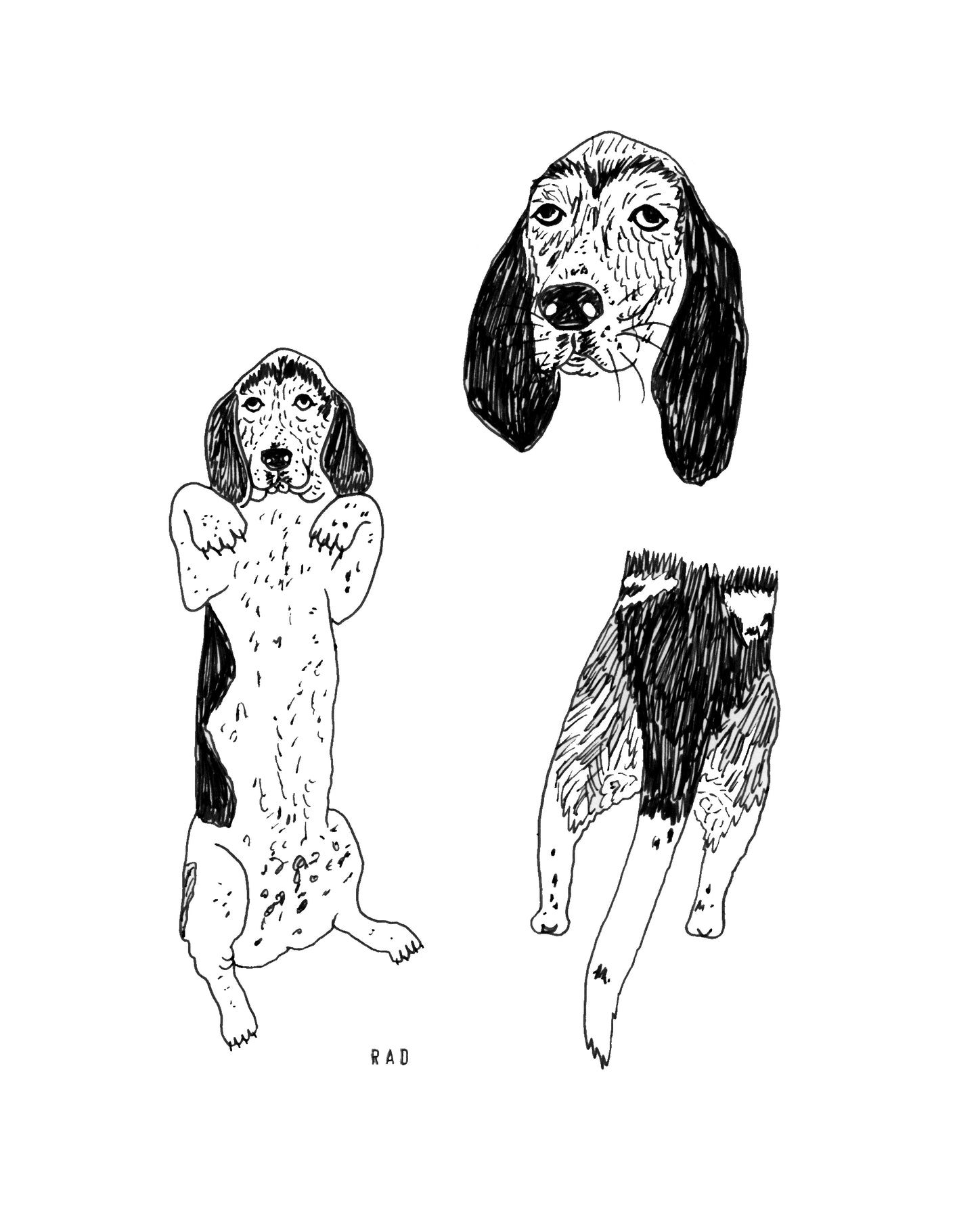 Custom Pet Portrait