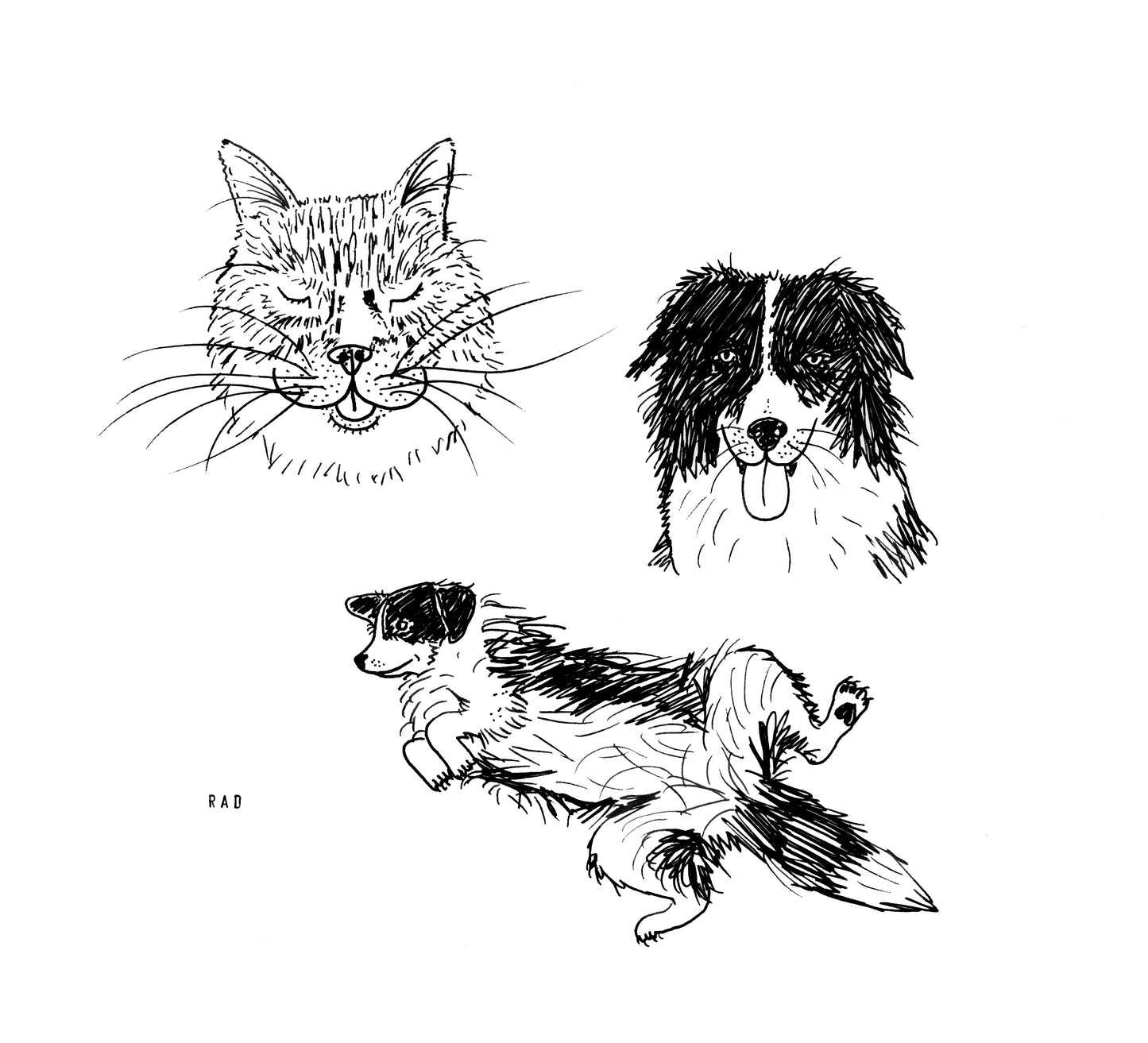 Custom Pet Portrait
