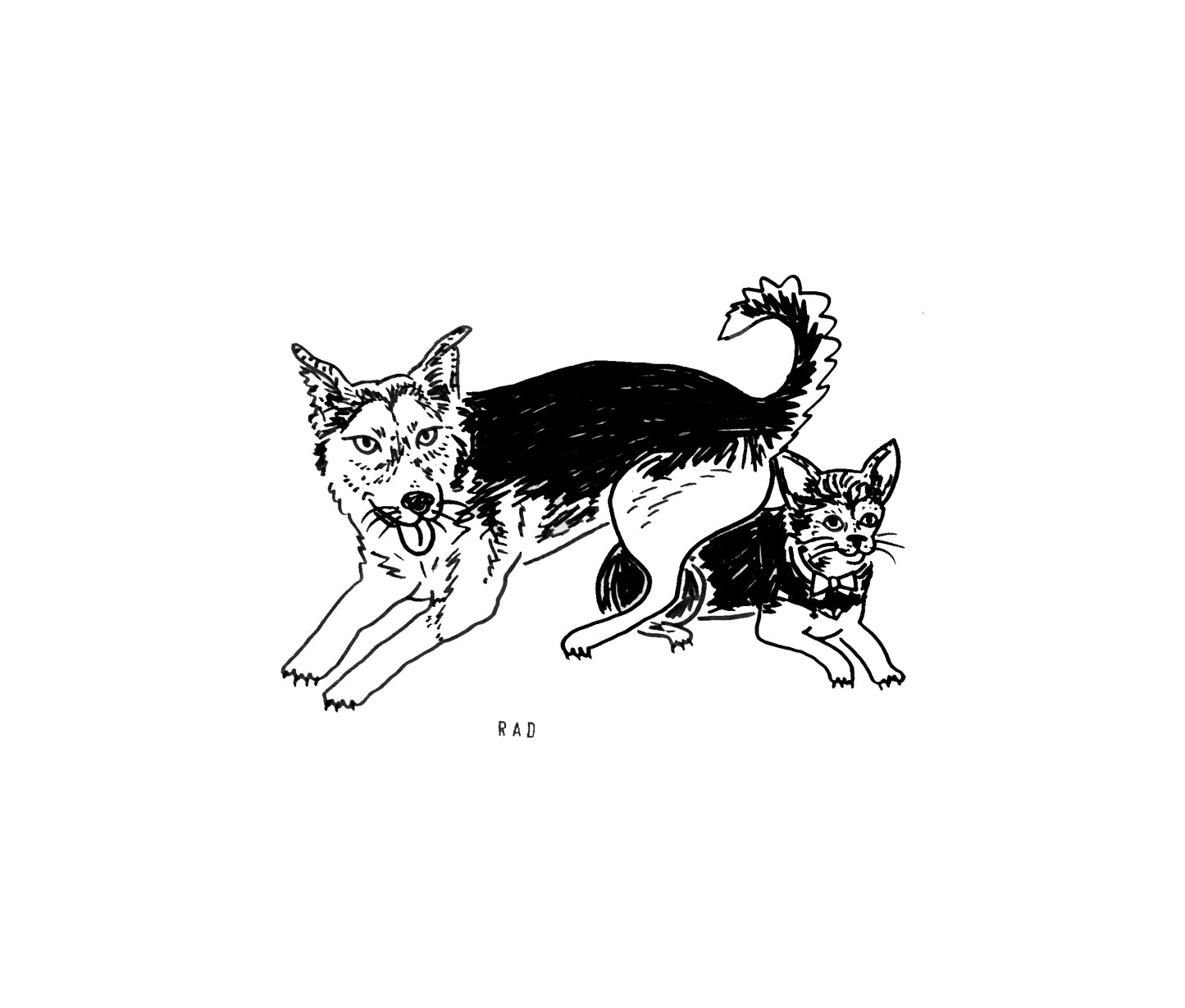 Custom Pet Portrait