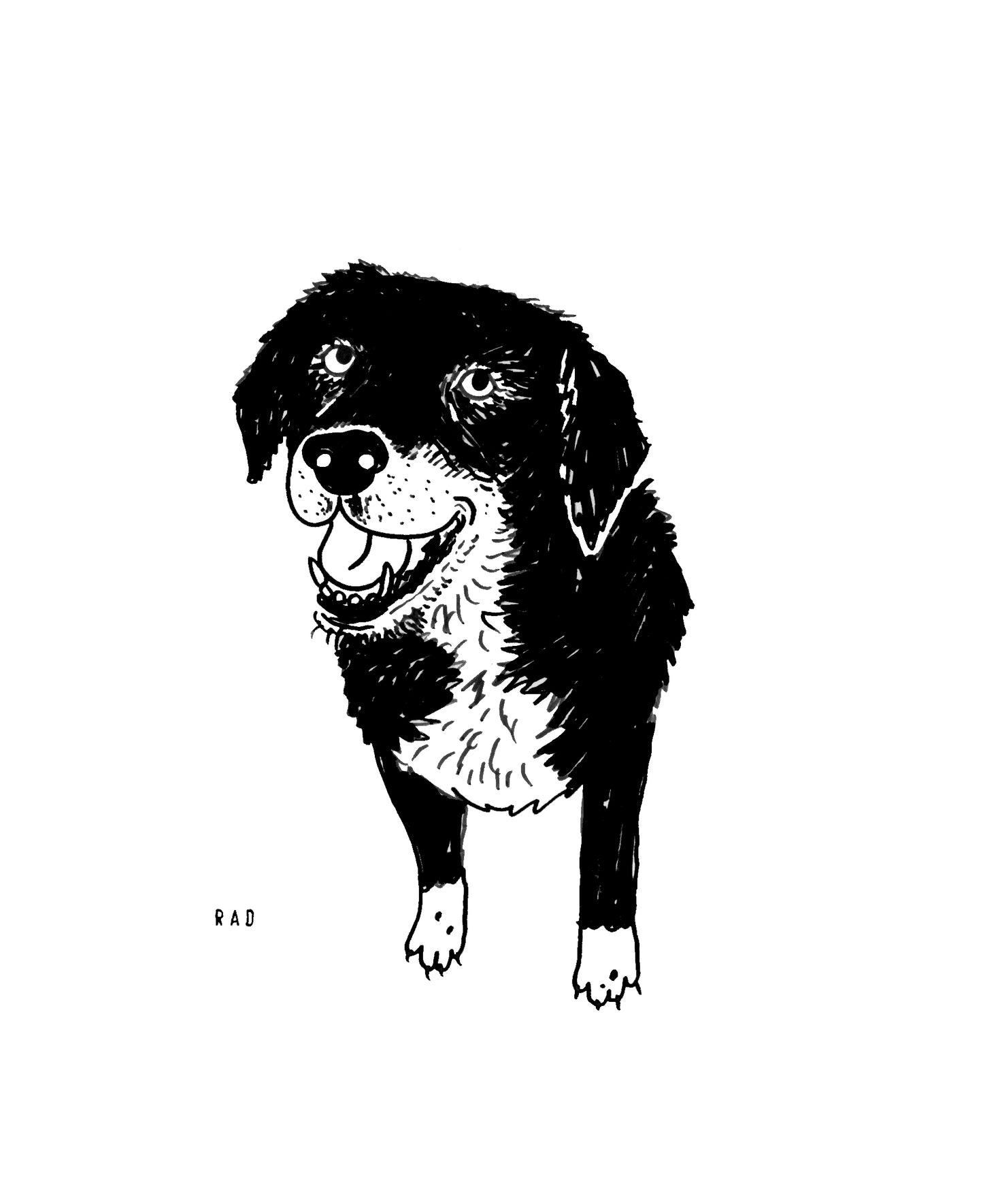 Custom Pet Portrait