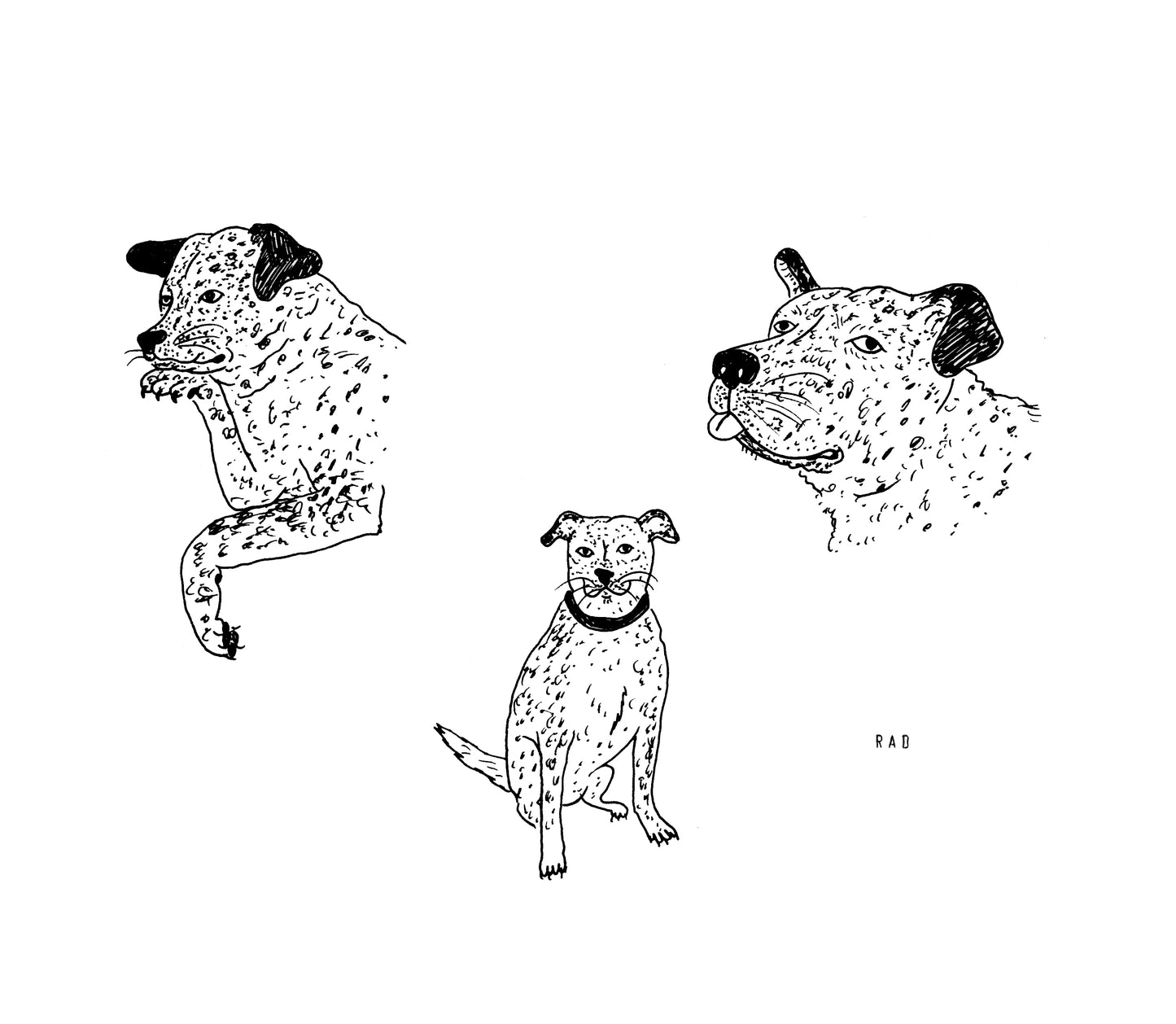 Custom Pet Portrait