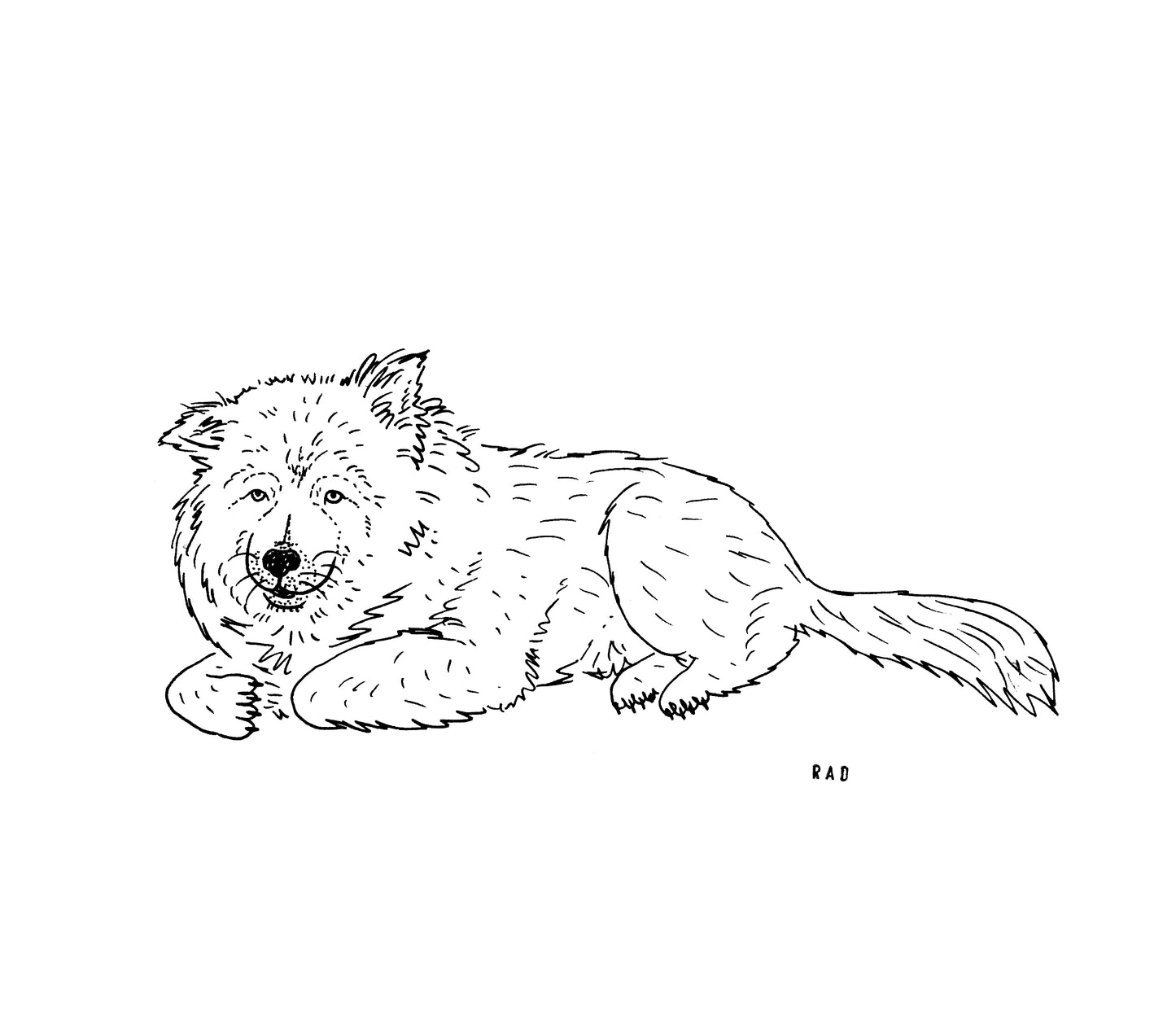 Custom Pet Portrait