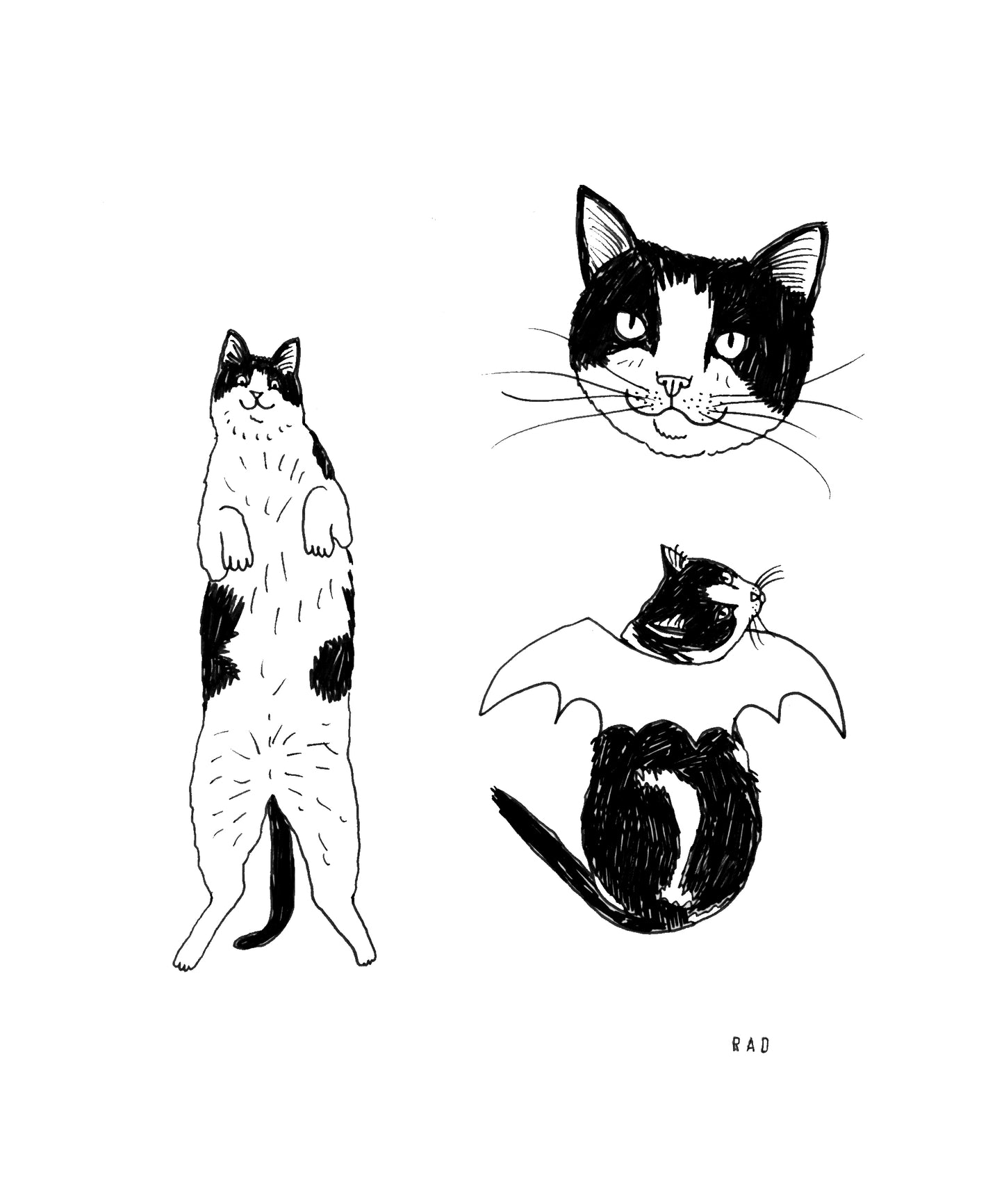 Custom Pet Portrait