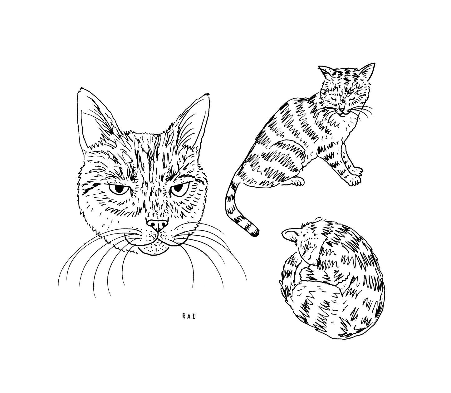 Custom Pet Portrait