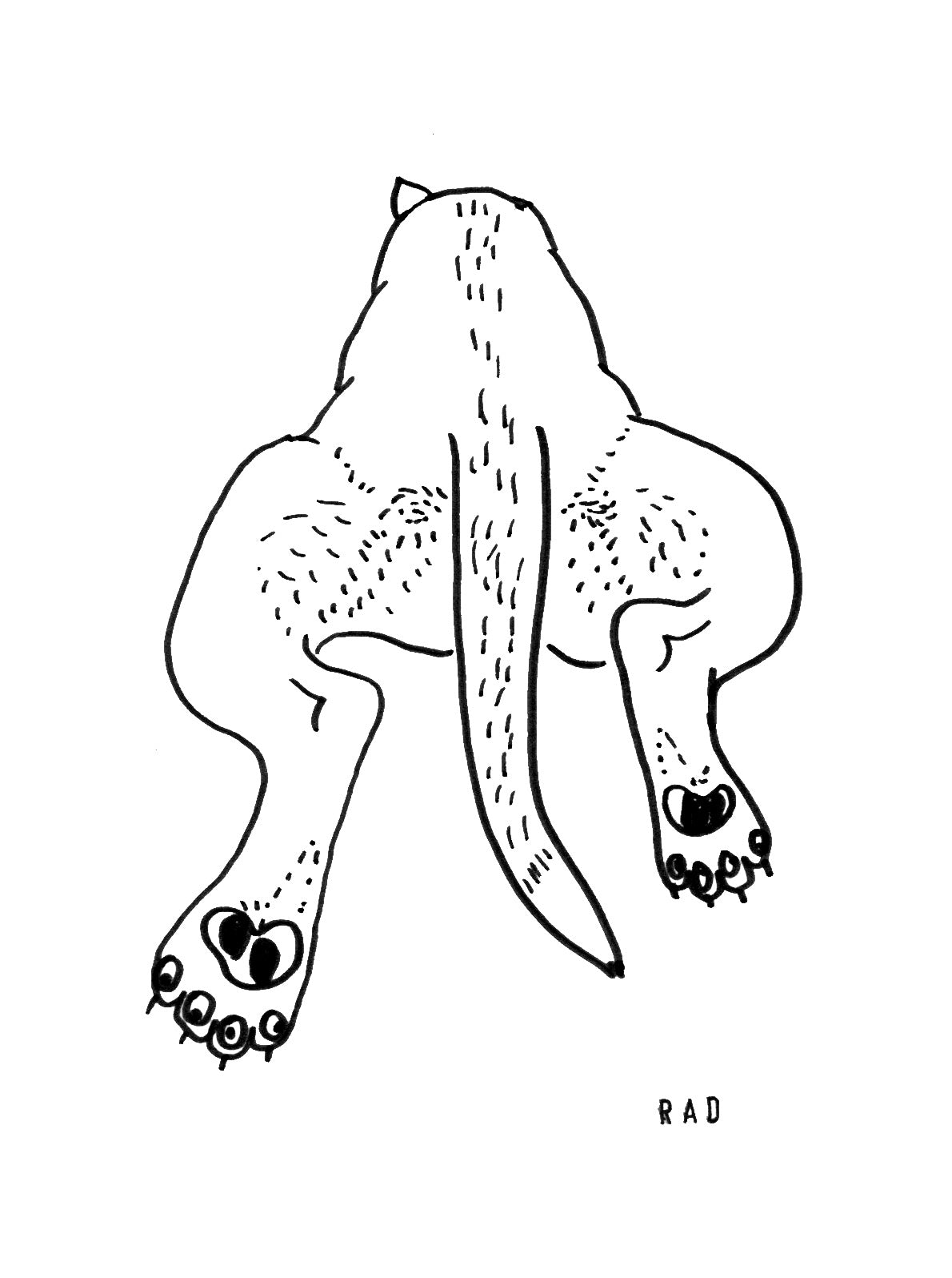 One Custom Booty Portrait (Person or Pet)