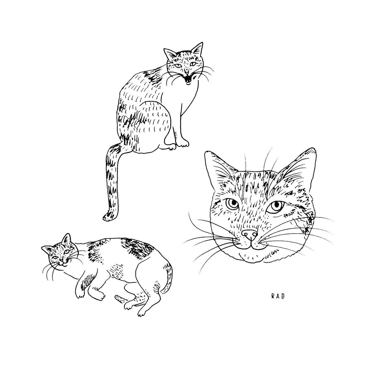 Custom Pet Portrait