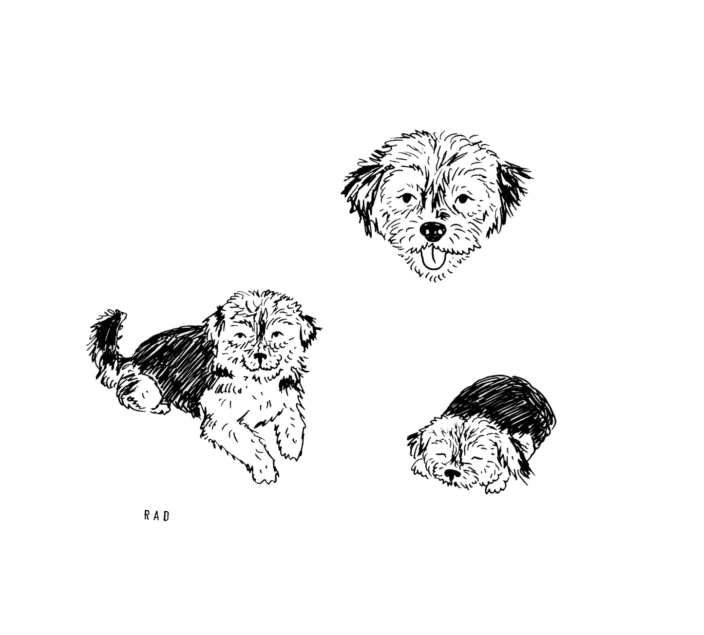 Custom Pet Portrait