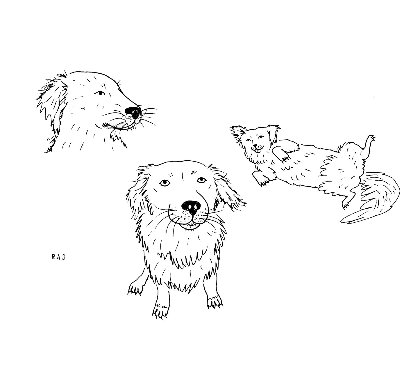 Custom Pet Portrait