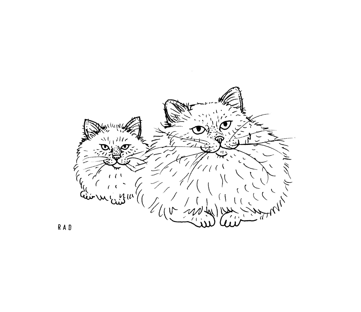 Custom Pet Portrait