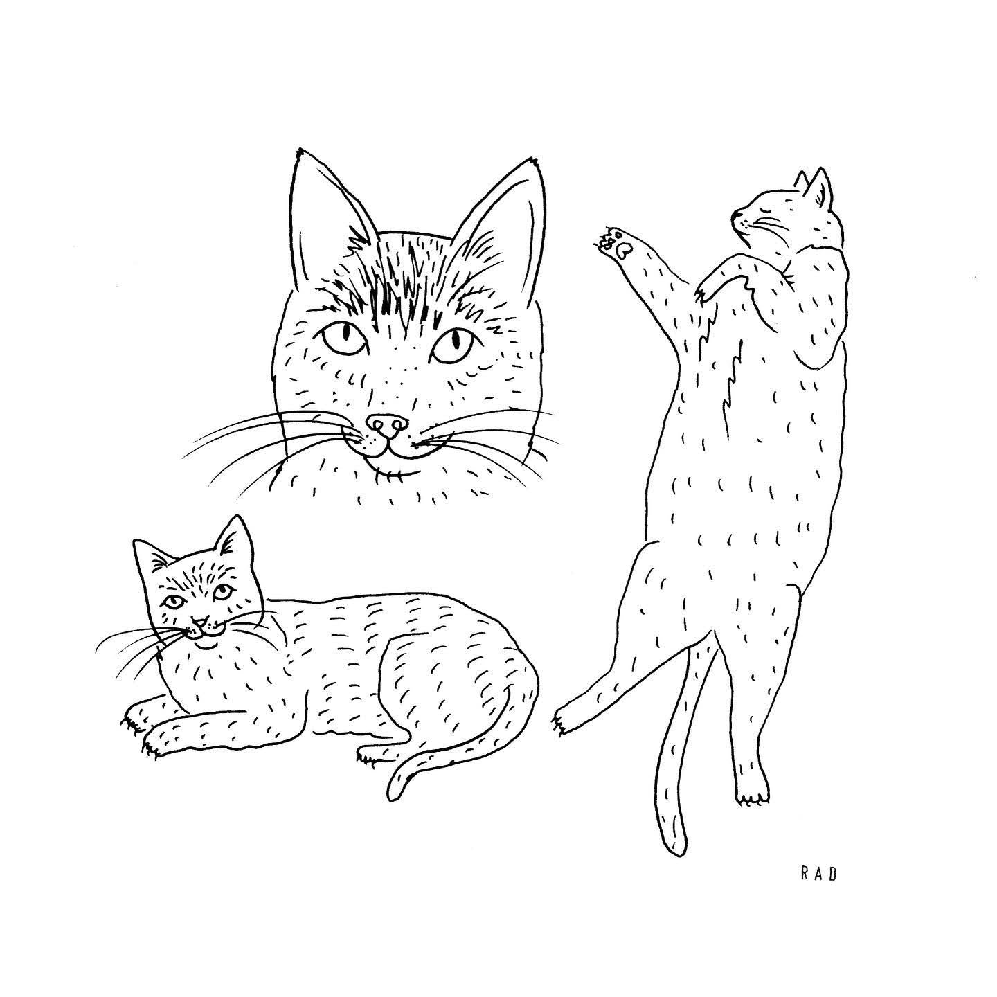 Custom Pet Portrait