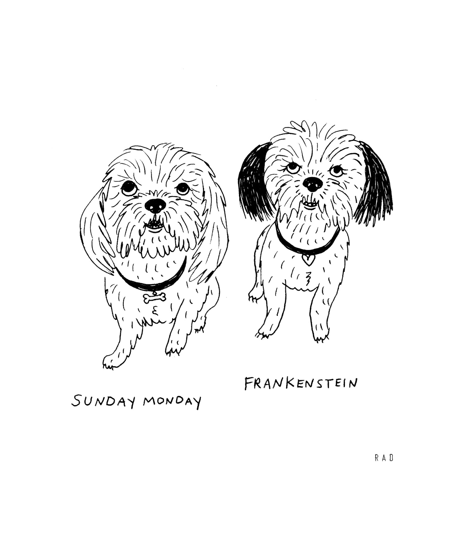 Custom Pet Portrait