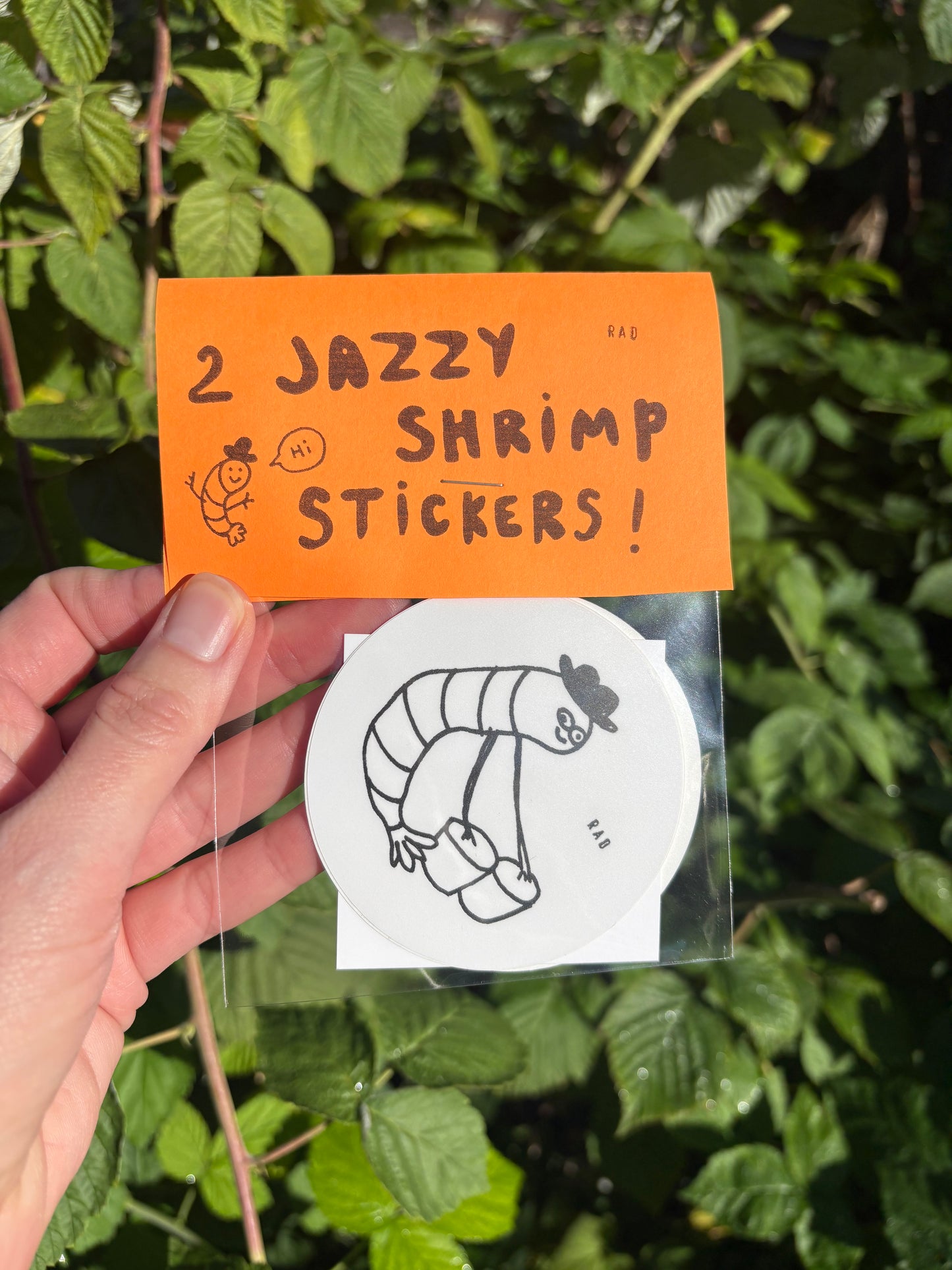 Jazzy Shrimp Sticker Pack!