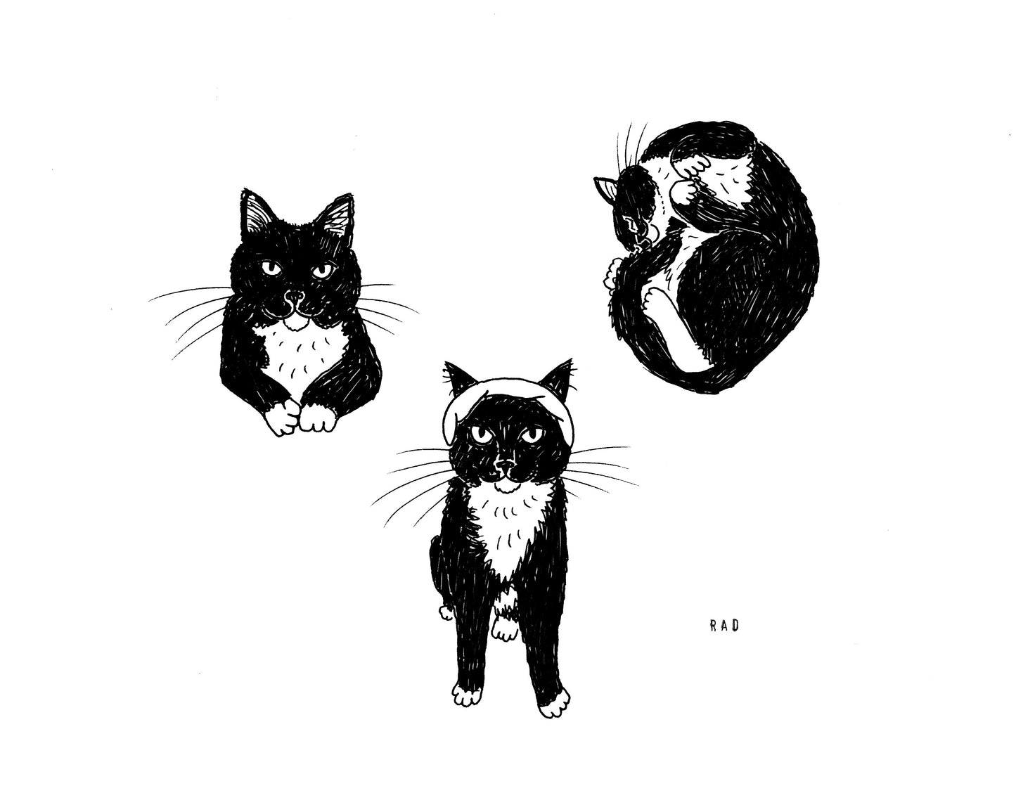 Custom Pet Portrait