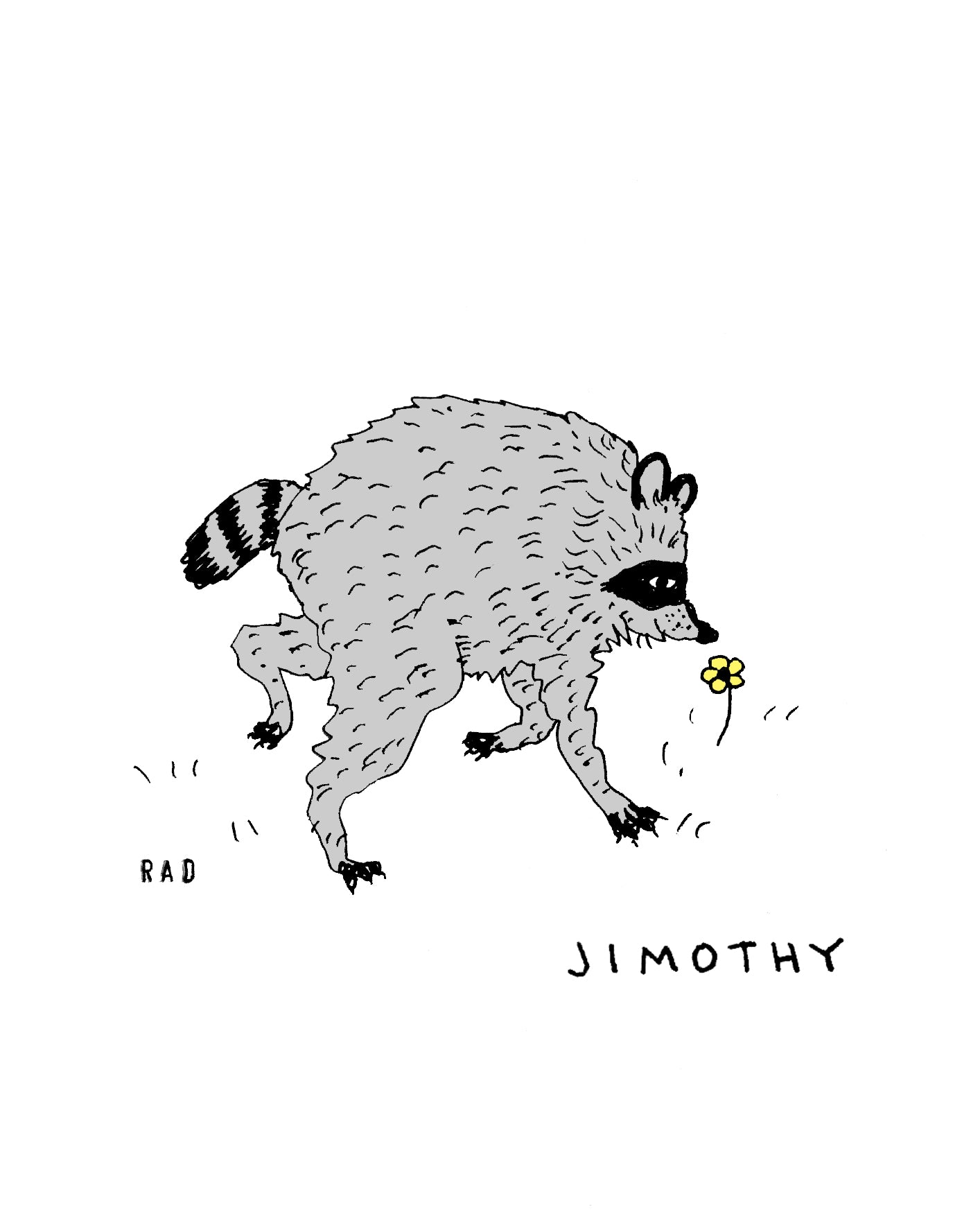 Jimothy the Raccoon Color Print 8"x10"