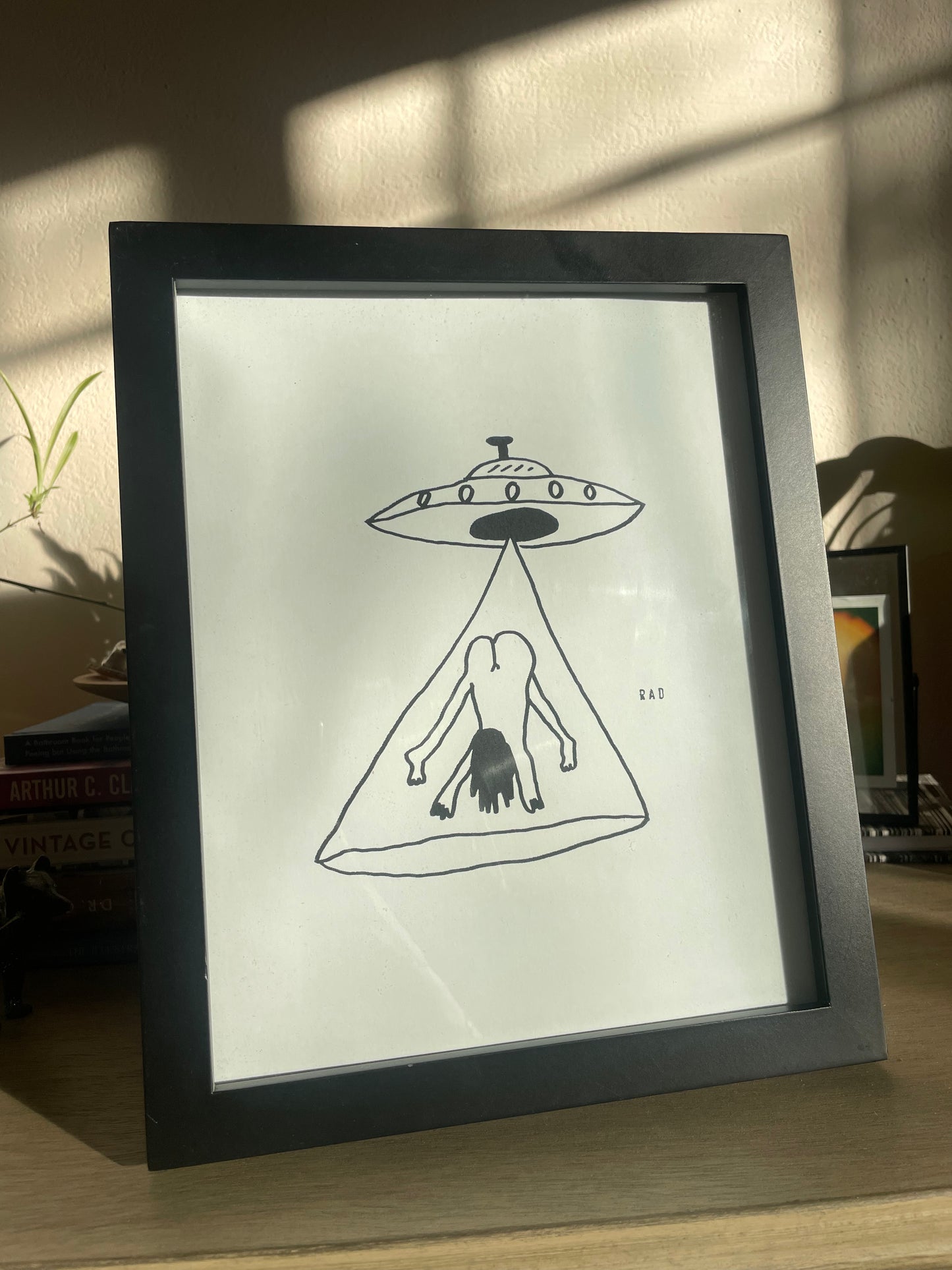 Alien Abduction Print 8"x10"