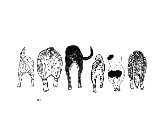 I love Dog Butts Print 8"x10"
