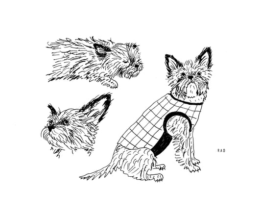 Custom Pet Portrait