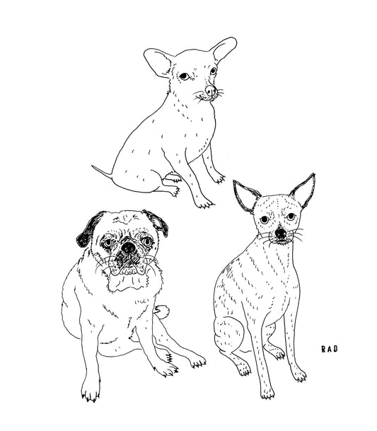 Custom Pet Portrait