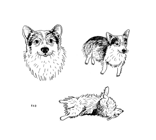 Custom Pet Portrait